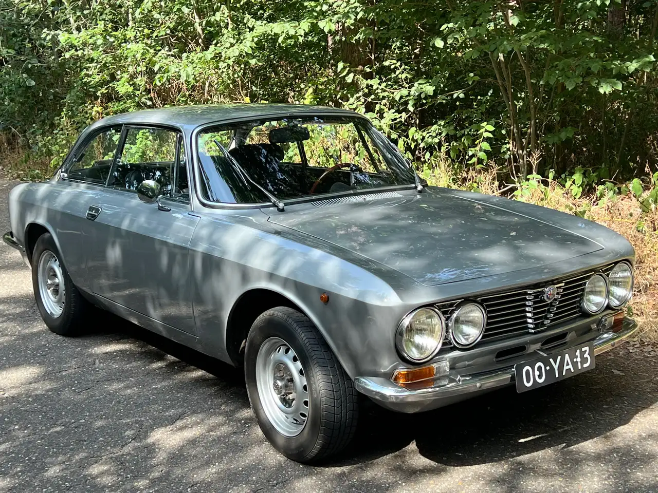 Alfa Romeo Junior