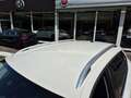 Skoda Kamiq 1.0 TSI Selection Voll-LED CarPlay Kamera Weiß - thumbnail 17