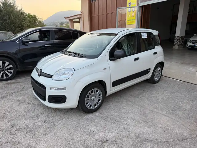 Fiat Pandina