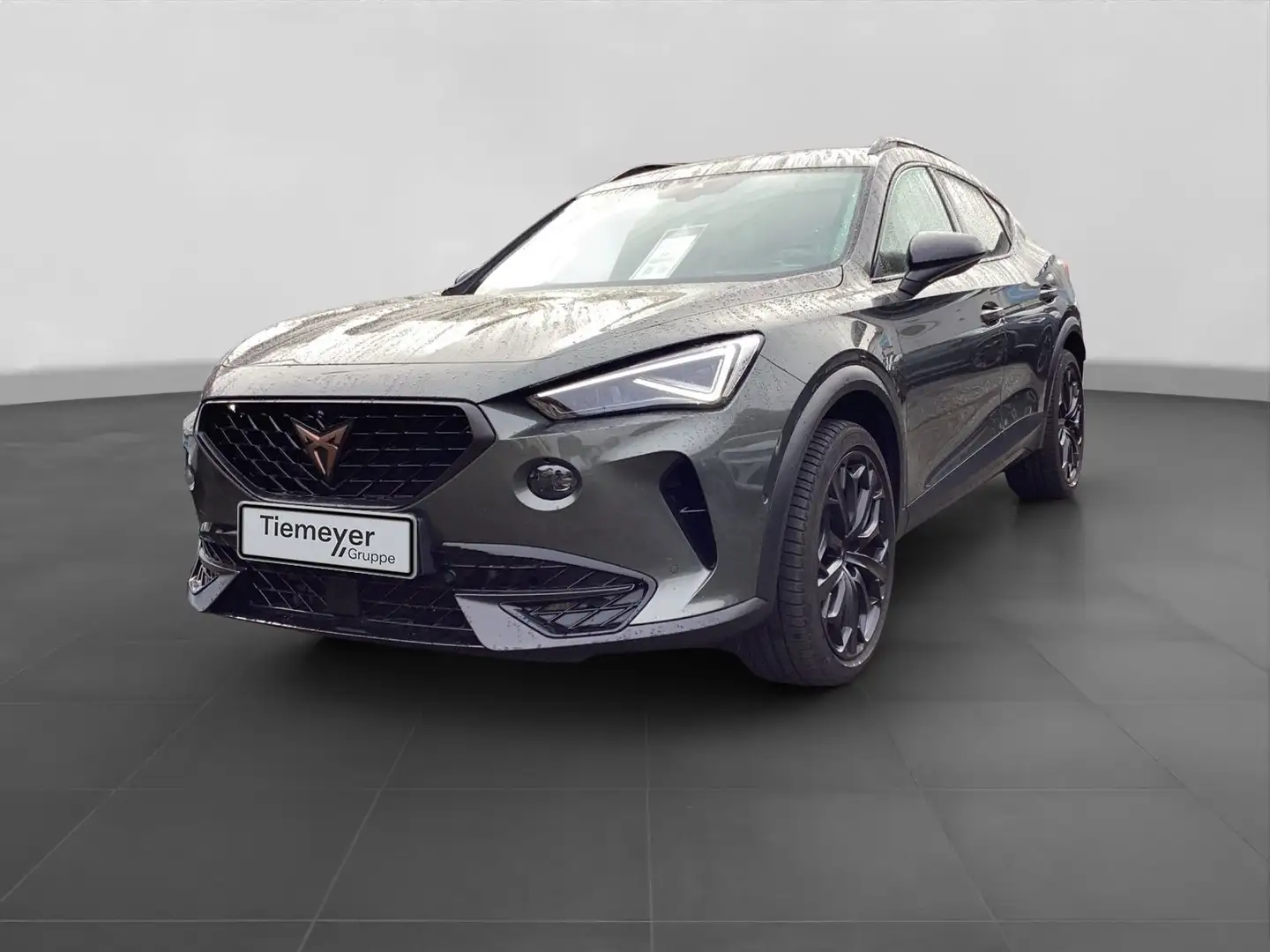 CUPRA Formentor VZ 2.0 TSI TRIBE EDITION LM19 MATRIX Grau - 2