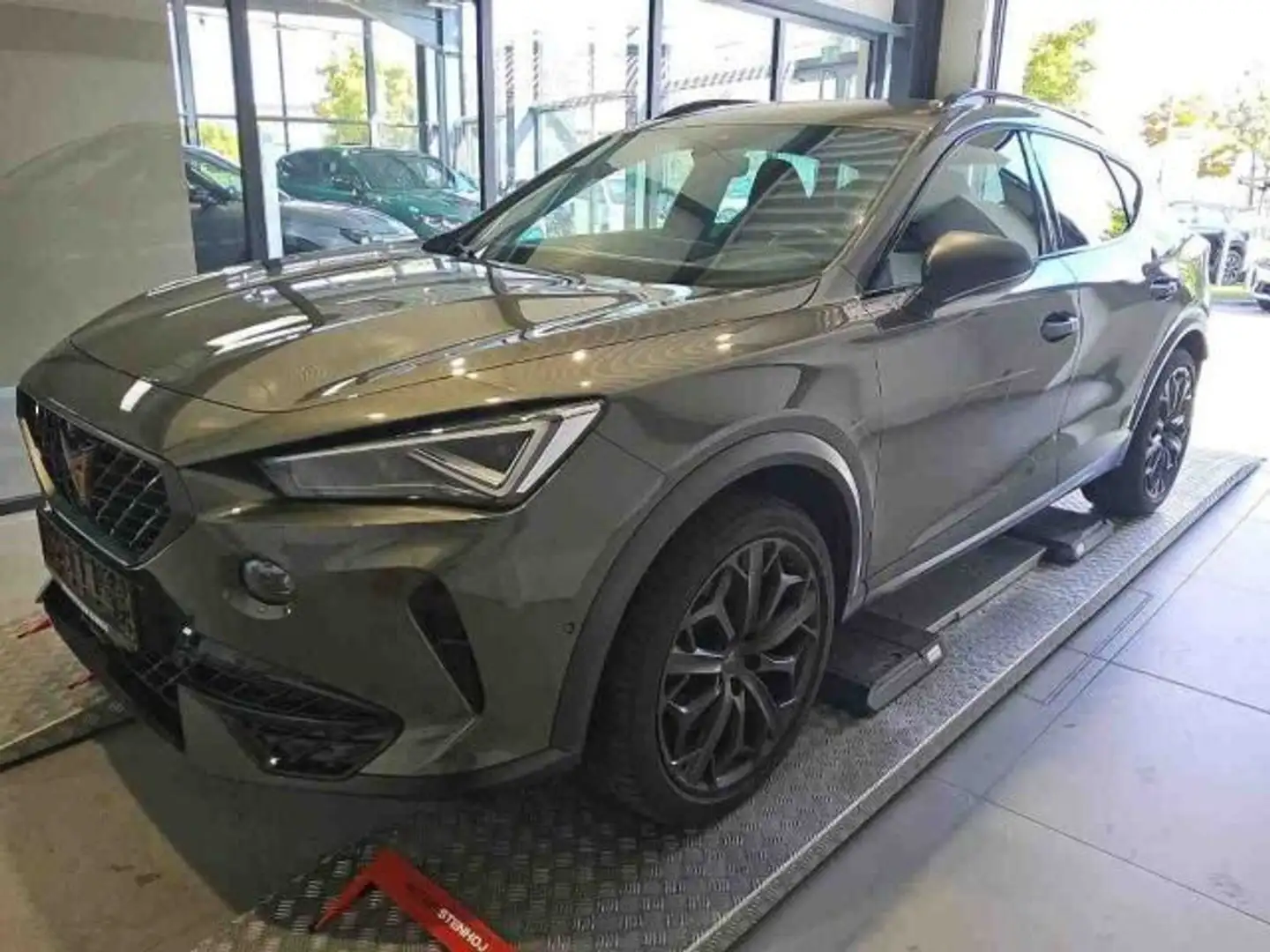 CUPRA Formentor VZ 2.0 TSI TRIBE EDITION LM19 MATRIX B Grau - 2