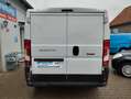 Fiat Ducato 250 Multijet 115 TÜV-AU 11-2027 Weiß - thumbnail 5