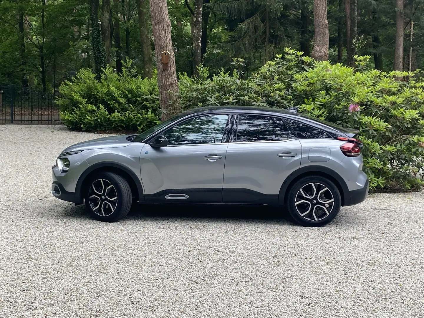 Citroen E-C4 Electric E-C4 Max 54 kWh 3 fase / leer / adoptieve cruise Срібний - 2