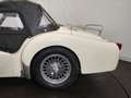 Triumph TR3 petite bouche Blanc - thumbnail 19