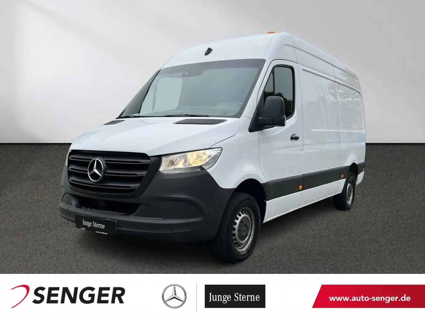Mercedes-Benz Sprinter 316 CDI KA L2H2 Standhz BOTT AHK3,5t 7G Weiß - 1