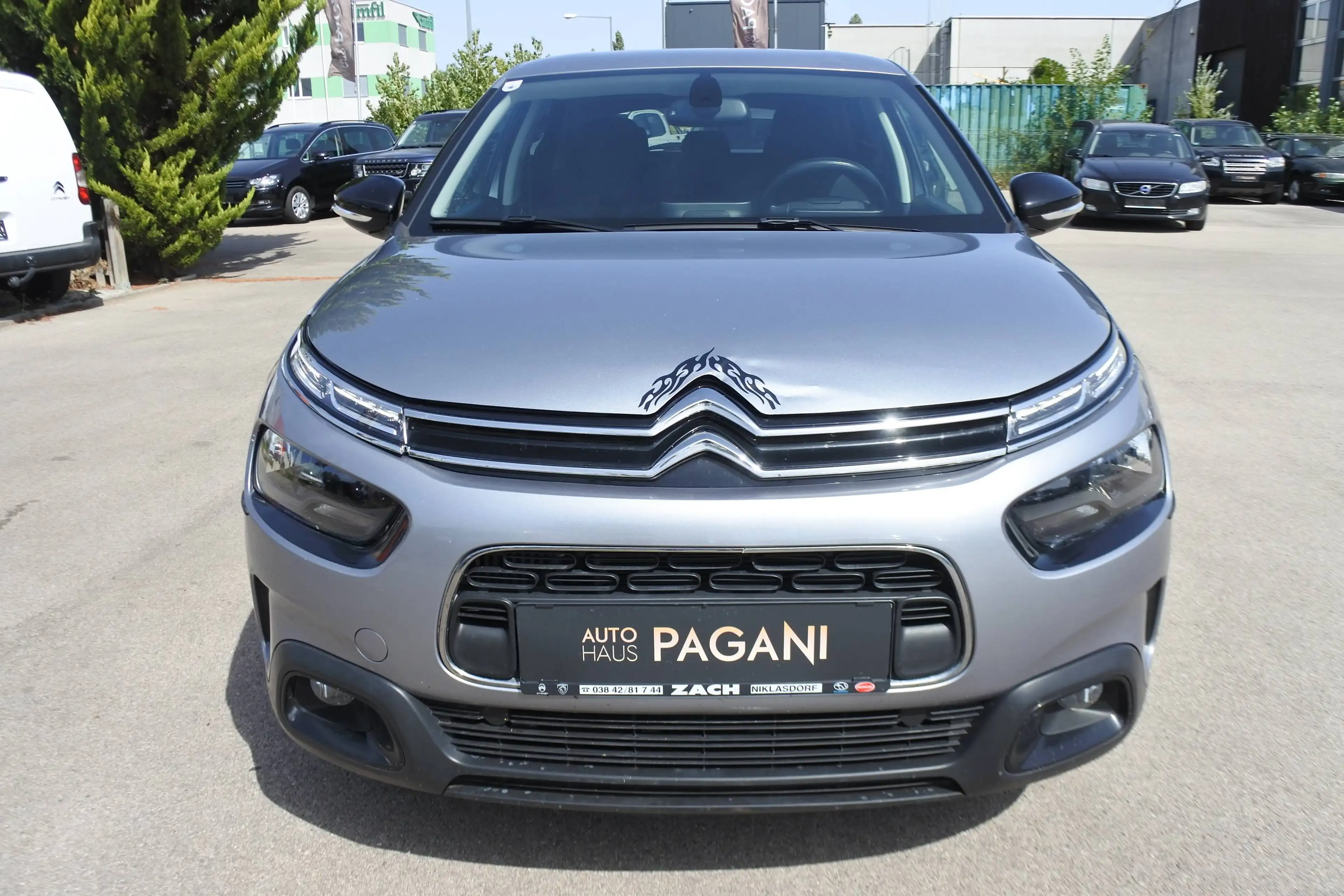 Citroen C4 Cactus C4 Cactus 110 Shine ETG Shine — photo 3