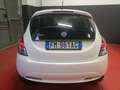 Lancia Ypsilon Ypsilon 1.2 69 CV 5 porte Gold Platinum Blanc - thumbnail 6