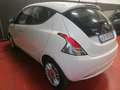 Lancia Ypsilon Ypsilon 1.2 69 CV 5 porte Gold Platinum Blanc - thumbnail 7