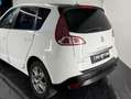 Renault Scenic Scenic III X-Mod 2009 X-Mod 1.5 dci Luxe 110cv Bianco - thumbnail 5