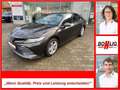 Toyota Camry 2.5 Hybrid Executive inkl. Winterräder Braun - thumbnail 1
