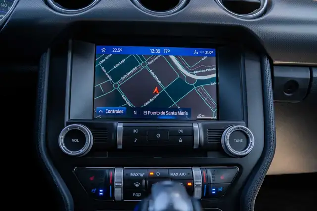 Ford Mustang view 11