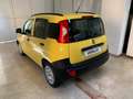 Fiat Panda 1.3 mjt 80cv Easy VAN S&S Giallo - thumbnail 6