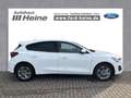 Ford Focus 1.0 TITANIUM STYLE Weiß - thumbnail 6