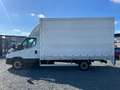 Iveco 35S12 Automatik/19.980KM/Pritsche+Plane Weiß - thumbnail 8