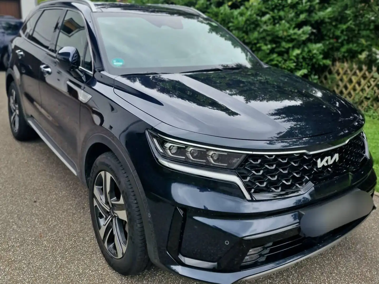 Kia Sorento 1.6T-GDI PHEV AWD Aut. Platinum Panoramadach Blau - 1