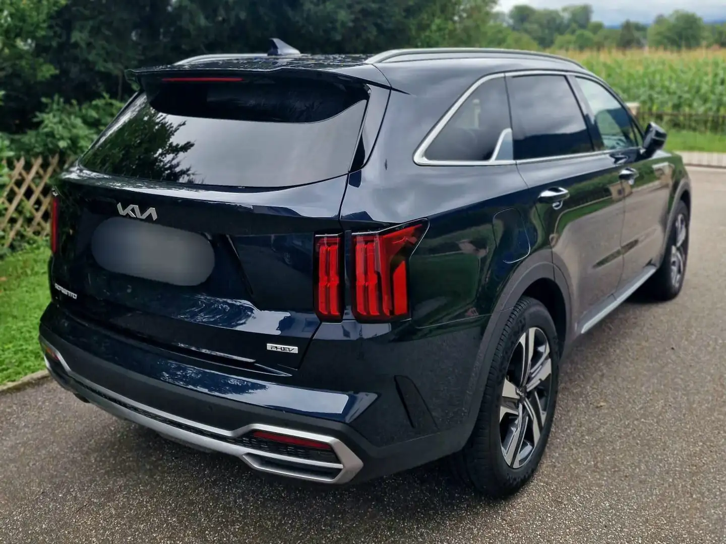 Kia Sorento 1.6T-GDI PHEV AWD Aut. Platinum Panoramadach Blau - 2