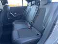 Mercedes-Benz A 250 A -Klasse A 250+Finanzierung+Garantie+Insp.NEU++ Grau - thumbnail 26