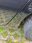 Mazda 3 3 Fließheck 1.6 MZR Active Plus Schwarz - thumbnail 11