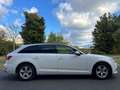 Audi A4 Avant 2.0TDI Advanced edition 110kW Weiß - thumbnail 8