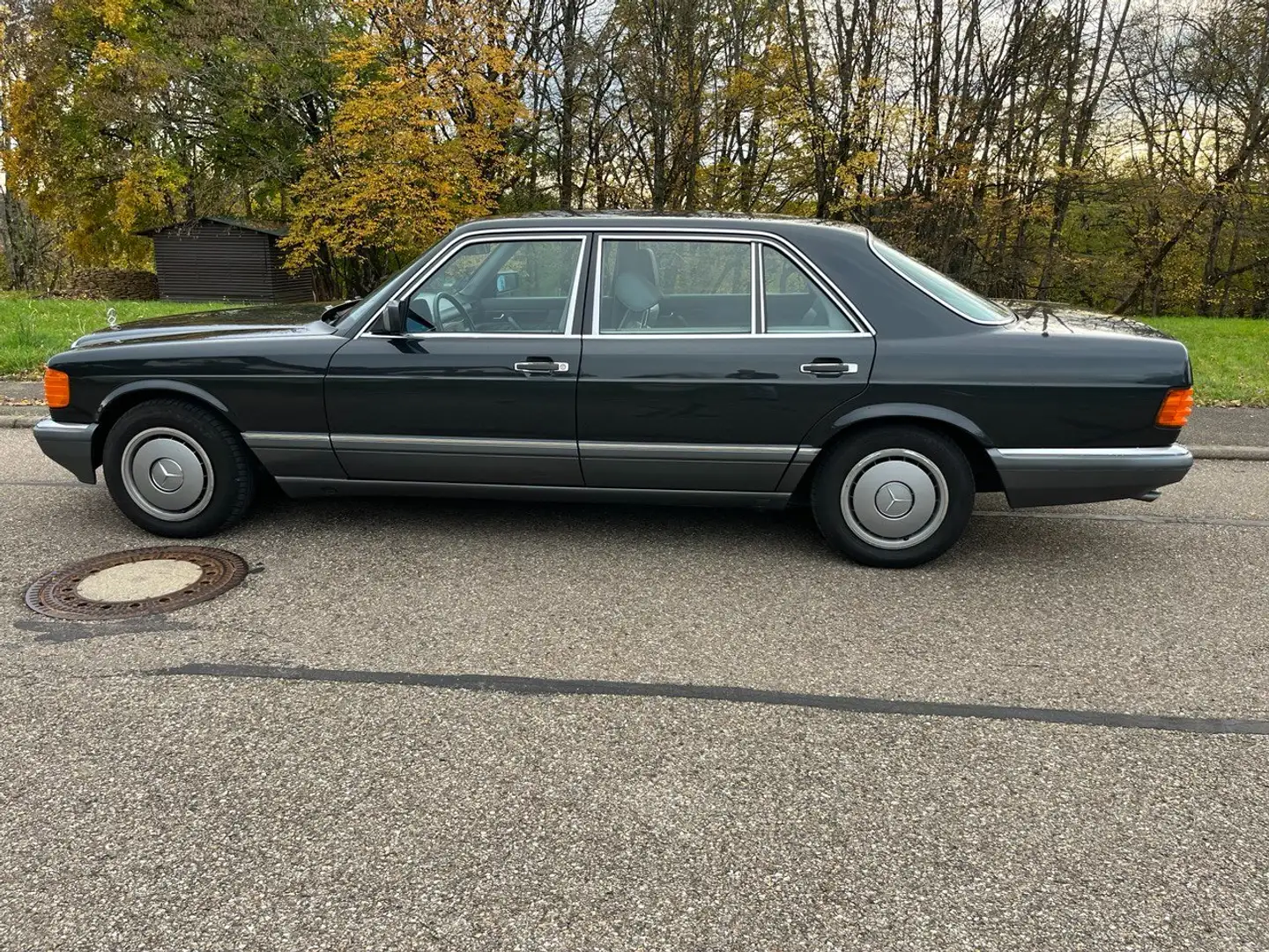 Mercedes-Benz S 300 S-Klasse SEL Negru - 2