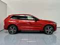 Volvo XC60 T6 Recharge R-Design Rojo - thumbnail 2