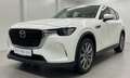 Mazda CX-60 3.3L e-SKYACTIV D EXC-LINE *MwSt*LED*Tempomat* Weiß - thumbnail 13