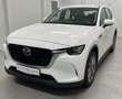 Mazda CX-60 3.3L e-SKYACTIV D EXC-LINE *MwSt*LED*Tempomat* Weiß - thumbnail 12