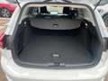 Ford Focus Turnier 1,0 EcoBoost Hybrid Titanium Edition Weiß - thumbnail 13