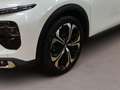 Citroen C5 X PureTech 130 Stop&Start AT8 Plus *HUD*NAVI* Wit - thumbnail 14