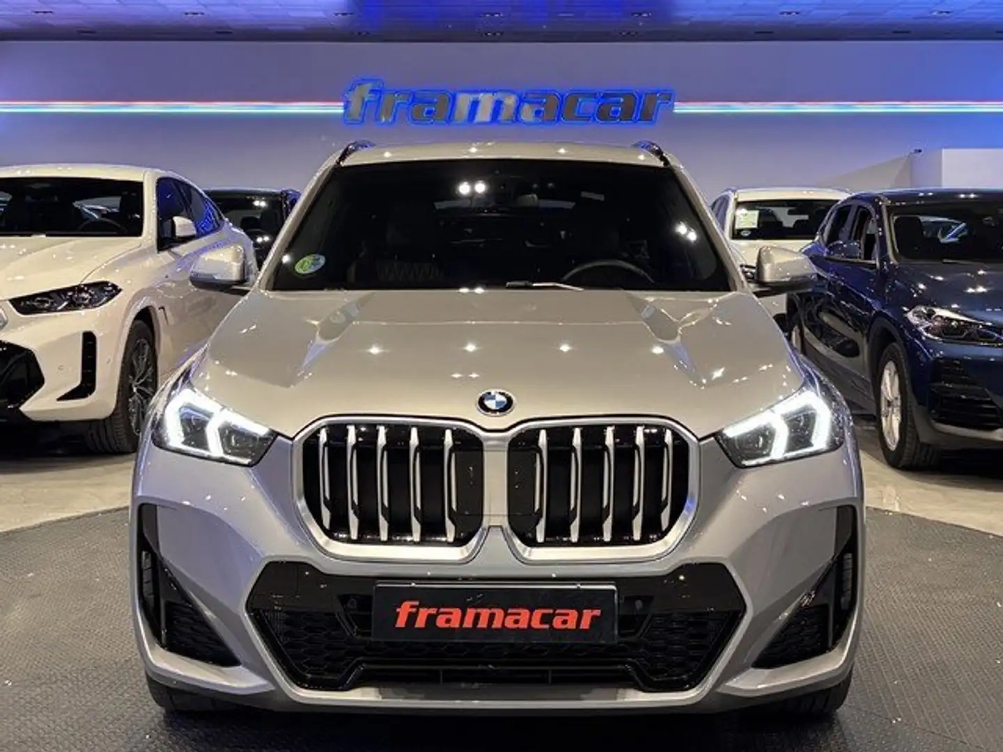 BMW X1 sDrive 20dA Gris - 2