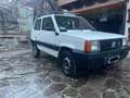 Fiat Panda 1.1 Trekking 4x4 Weiß - thumbnail 1