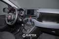 Fiat Panda 1.0 Firefly Hybrid 70CV Cross 5p.ti Rot - thumbnail 16