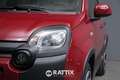 Fiat Panda 1.0 Firefly Hybrid 70CV Cross 5p.ti Rot - thumbnail 3