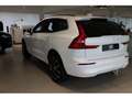 Volvo XC60 B4 Core 2WD AHK ACC ALUFELGEN 20 ZOLL White - thumbnail 6