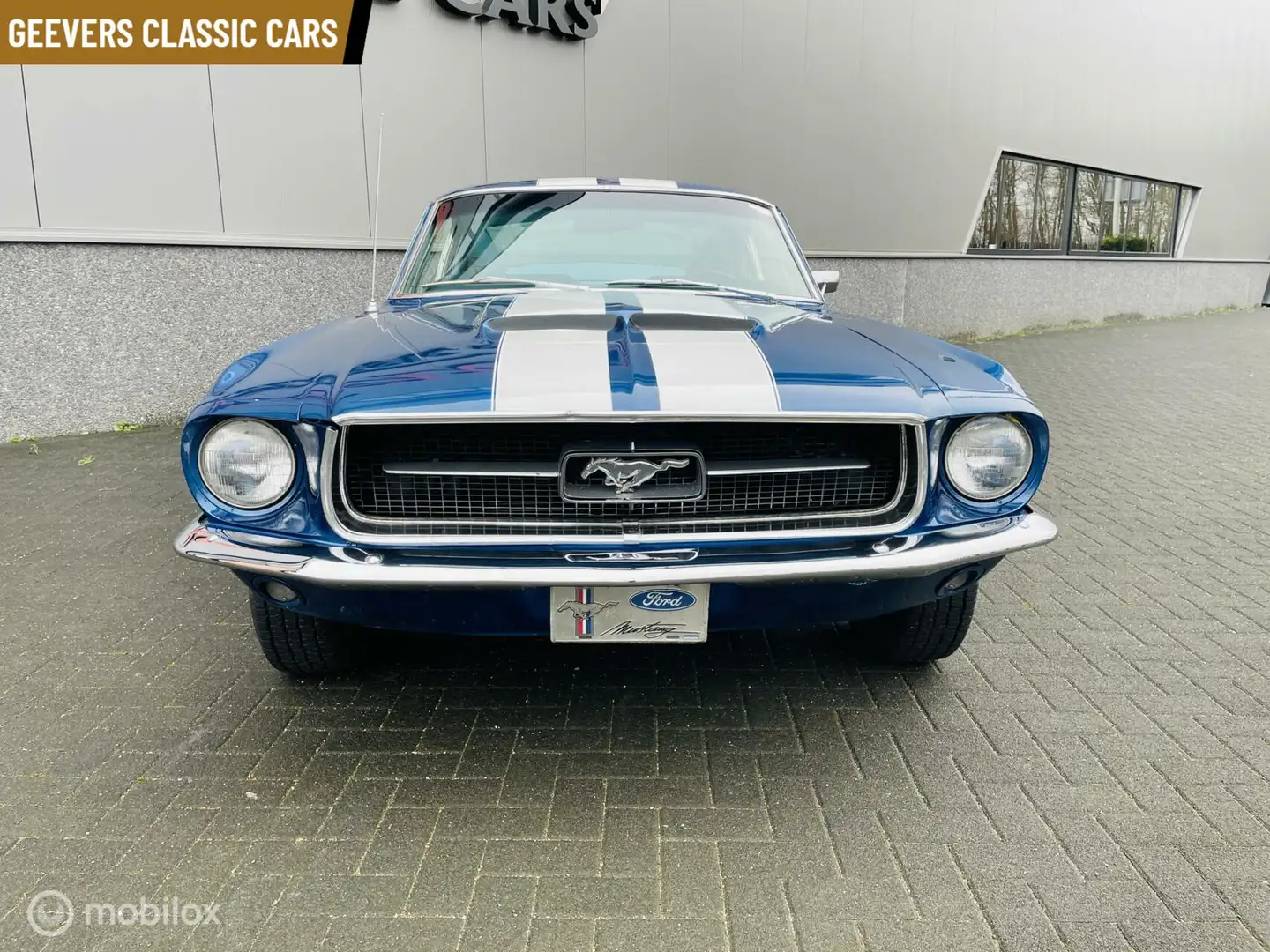 Ford Mustang FASTBACK Blau - 2