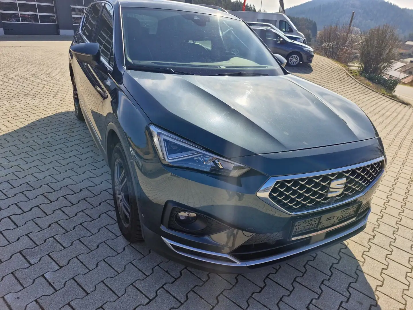 SEAT Tarraco Xcellence 4Drive Grün - 1