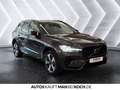 Volvo XC60 T6 Recharge AWD Plus Dark AHK PANO STDHz! LED Grau - thumbnail 6