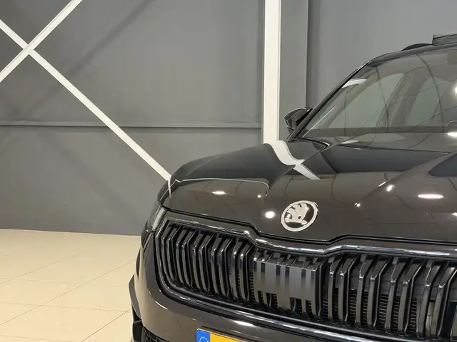 Skoda Kodiaq view 8