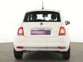 Fiat 500 Dolcevita Panoramadach|CarPlay|Tempomat|PDC Bianco - thumbnail 7
