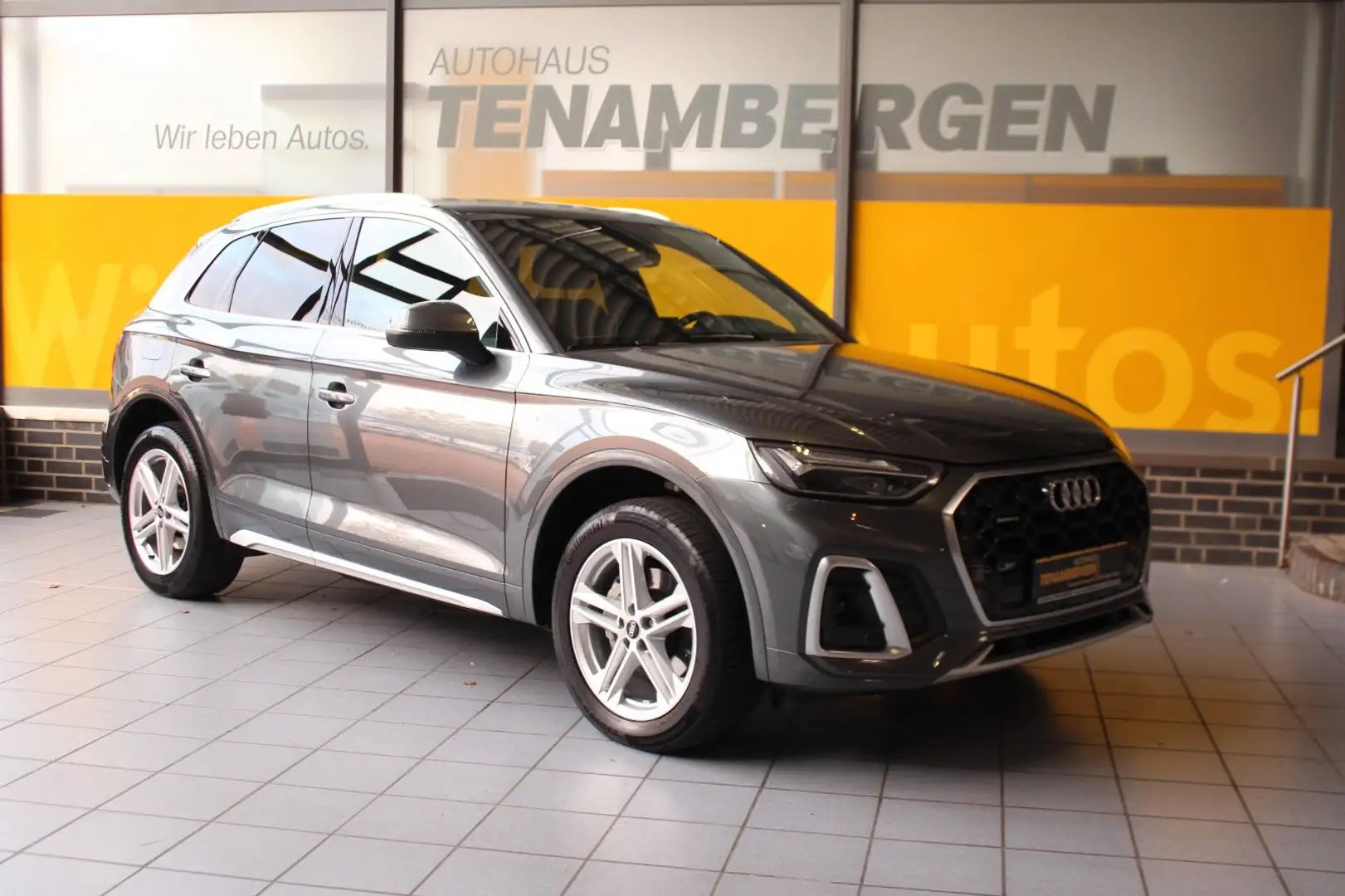 Audi Q5 40 TDI quattro S line Kamera MMI+ LED AHK Grau - 1