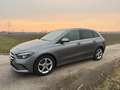 Mercedes-Benz B 180 B 180 d Aut. Grau - thumbnail 3