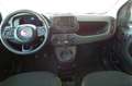 Fiat Panda 4x2 FireFly Hybrid 70 Pandina Wit - thumbnail 5