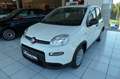 Fiat Panda 4x2 FireFly Hybrid 70 Pandina Wit - thumbnail 8