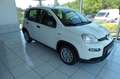 Fiat Panda 4x2 FireFly Hybrid 70 Pandina Wit - thumbnail 1