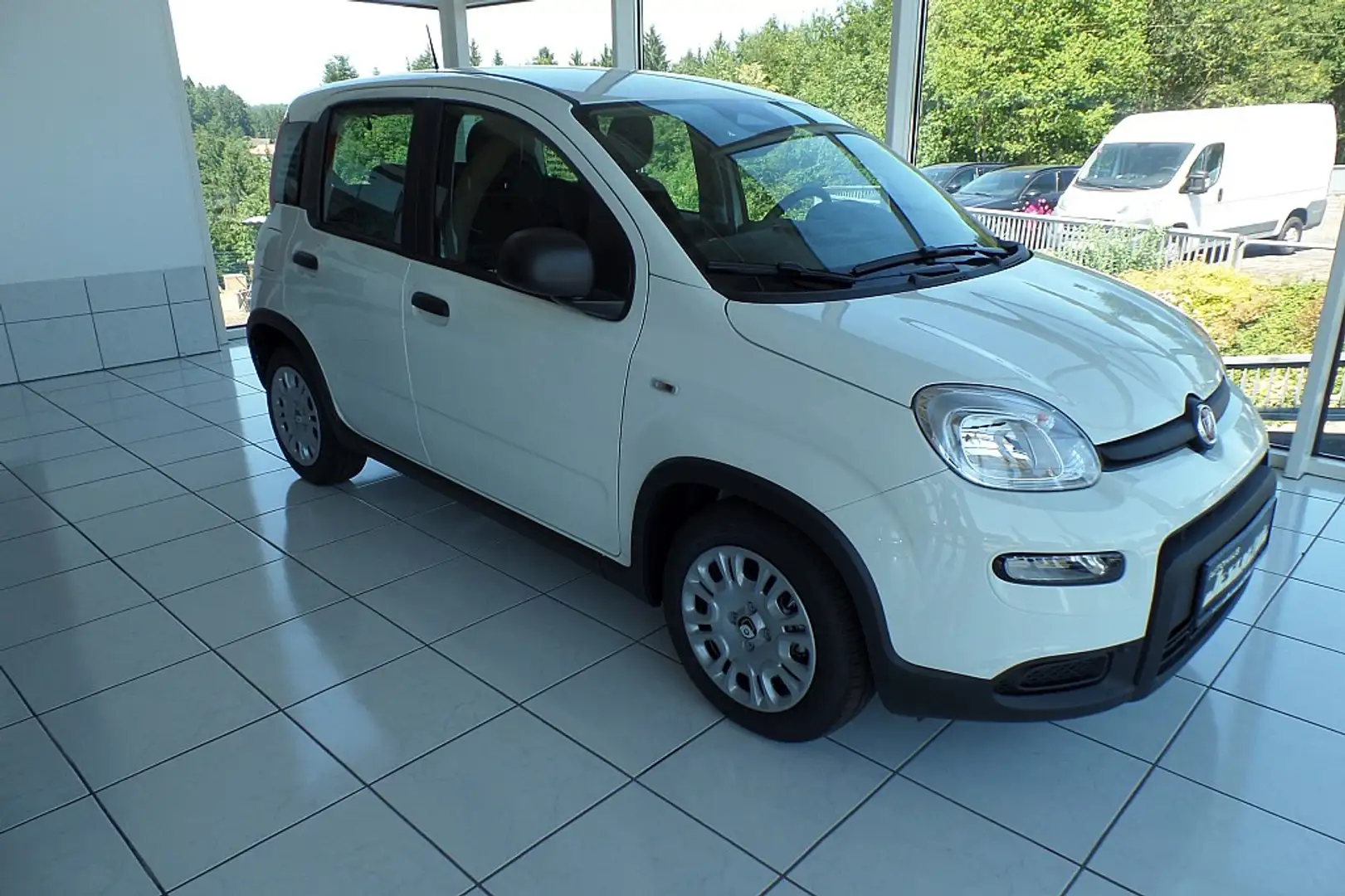 Fiat Panda 4x2 FireFly Hybrid 70 Pandina Wit - 1