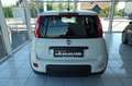 Fiat Panda 4x2 FireFly Hybrid 70 Pandina Wit - thumbnail 3