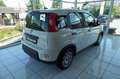 Fiat Panda 4x2 FireFly Hybrid 70 Pandina Wit - thumbnail 2