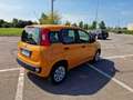 Fiat Panda 1.2 Trussardi s&s 69cv - thumbnail 3