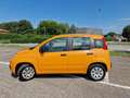 Fiat Panda 1.2 Trussardi s&s 69cv - thumbnail 14