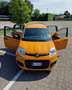 Fiat Panda 1.2 Trussardi s&s 69cv - thumbnail 1